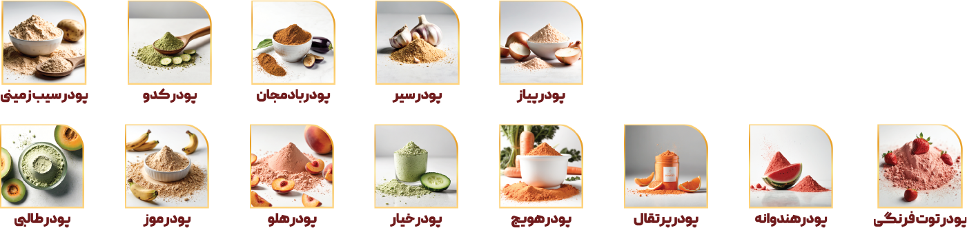 Dried Fruits Collection